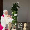 Hijab Eline